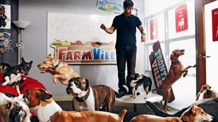 «Bring Your Dog Day» bei Zynga: Der Firmenname geht direkt zurück auf «Zinga», die verstorbene Bulldogge des Firmengründers.