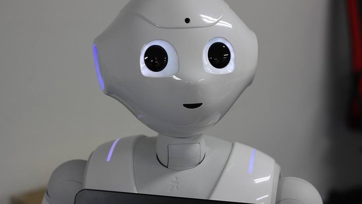 Roboter: Die Branche zeigt sich skeptisch über die neue Funktion (Symbolbild). Pixabay