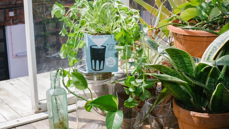 Regenerative Landwirtschaft bedeutet auch für Oatly Verantwortung zu übernehmen.