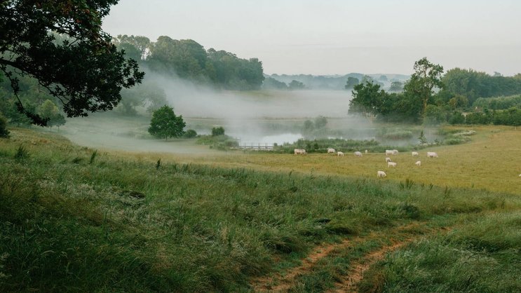 Bruton, Frome oder Mells gelten als «places to be» für trendbewusste Briten.