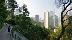 City-Jogging in Hong-Kong: Der leichte Trab auf der Bowen Road führt zu neuen Aussichten.