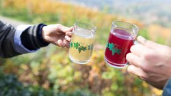 Gärender Wein ist das bitzelnde Lieblingsgetränk im Herbst.