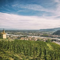 Der Berg der Weinberge: «Hermitage», hoch über der Rhone gelegen, ist eine der teuersten Lagen der Welt.