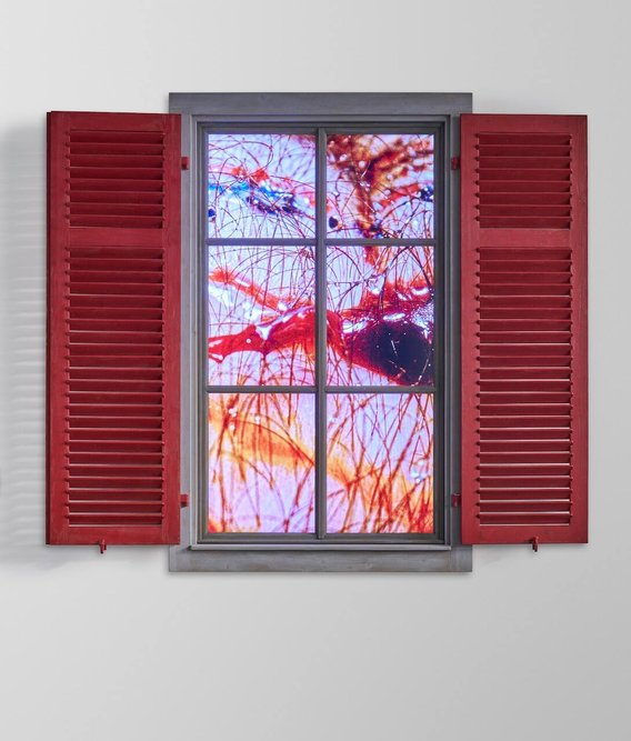 Delirisch_Pipilotti_Rist