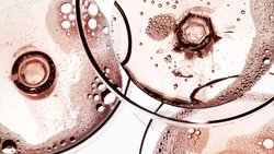 Winzerchampagner