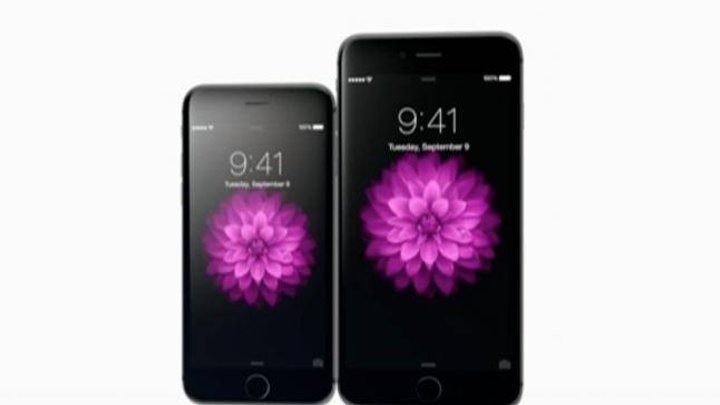 apple_show_7.jpg