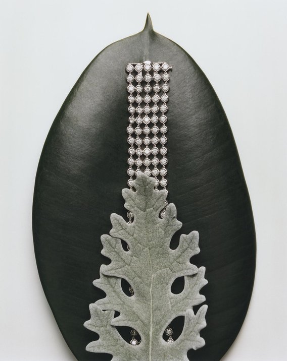 Bolero_Leaves_03.tif