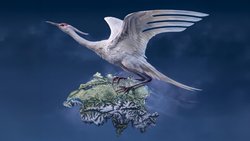Der deutsche Kranich der Lufthansa-Gruppe krallt sich die Schweizer Kundschaft – in Form von massiv hohen Flugtarifen auf Monopolstrecken von und nach Zürich und Genf.