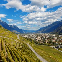 Der Walliser Dôle ist einer der bekanntesten Schweizer Weine. Oberhalb von Martigny gedeiht der Gamay, ein wichtiger Bestandteil der Dôle-Assemblage, besonders gut.