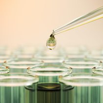 Biotech-Aktien entwickeln sich weiterhin überdurchschnittlich gut, selbst nach der Rallye im letzten Jahr.