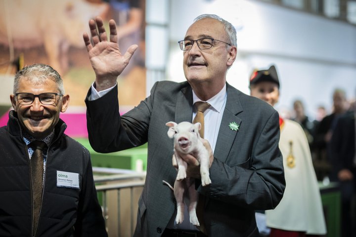 Bundespraesident Guy Parmelin mit einem Saeuli, Mitte, neben Christian Manser, Praesident der Olma-Tierschauen, bei der Eroeffnung der 83. OLMA Schweizer Messe fuer Landwirtschaft und Ernaehrung, am Donnerstag, 8. Oktober 2026, in St. Gallen. Die Messe dauert bis 18. Oktober. (KEYSTONE/Gian Ehrenzeller)