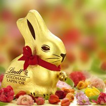 Glöckchen, Goldfolie und ein übergrosser Kopf: Der Schoggihase von Lindt entspricht dem Kindchenschema.