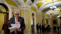 Der Fraktionsvorsitzende der Minderheit im Senat, Chuck Schumer, sagt, die Demokraten hätten sehr gute Chancen, die Mehrheit zurückzugewinnen.