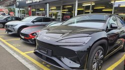 Der chinesische Autobauer BYD legt in der Schweiz ein rasantes Wachstum hin.
