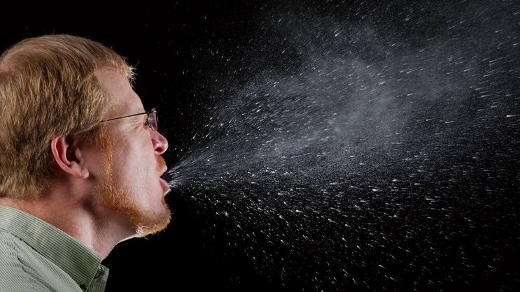 Niesen: Dreissig Prozent der Bevölkerung sind Allergiker, Tendenz steigend. Wikimedia/ James Gathany/ CC