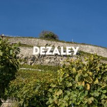 Der Schriftzug wie in Hollywood, die Rebterrassen halsbrecherisch steil: Das Dézaley gehört zu den Spitzenregionen des Schweizer Weinbaus und ist das ideale Terroir für hervorragenden Chasselas.