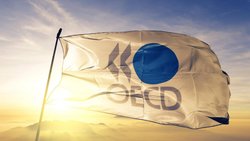 Eine Fahne mit dem Logo der OECD.