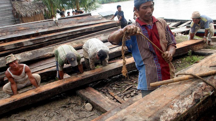 Regelwerke allein werden die Umwelt nicht retten: Illegale Abholzung in der Provinz Aceh Besar in Indonesien.