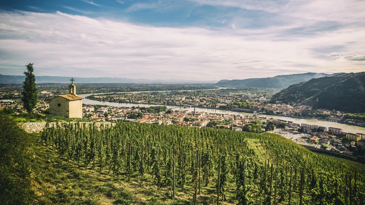 Der Berg der Weinberge: «Hermitage», hoch über der Rhone gelegen, ist eine der teuersten Lagen der Welt.