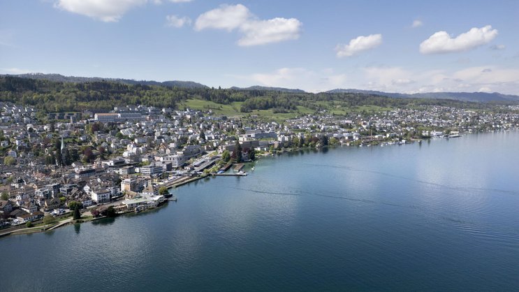 Im vierten Quartal 2025 war fast die Hälfte aller Eigenheimkäufe am Zürichseeufer Neubauten.