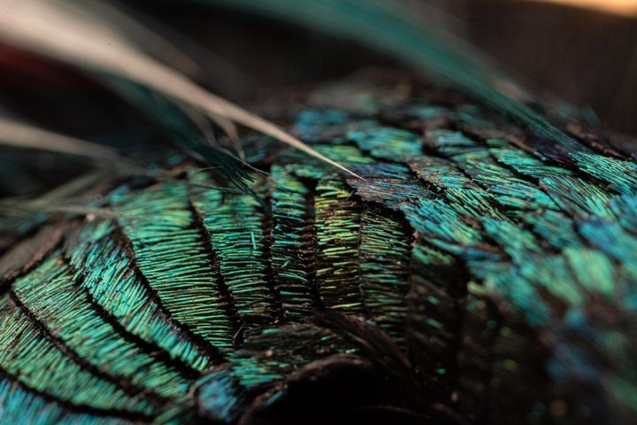 HomoFaber26_7630A_000G-H206_savoirfaire1_16X9 (1).jpg