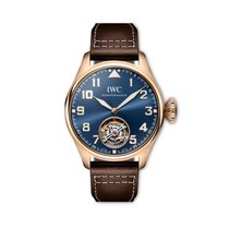 Die Pilot's Watch Chronograph 41 (Ref. IW388101).