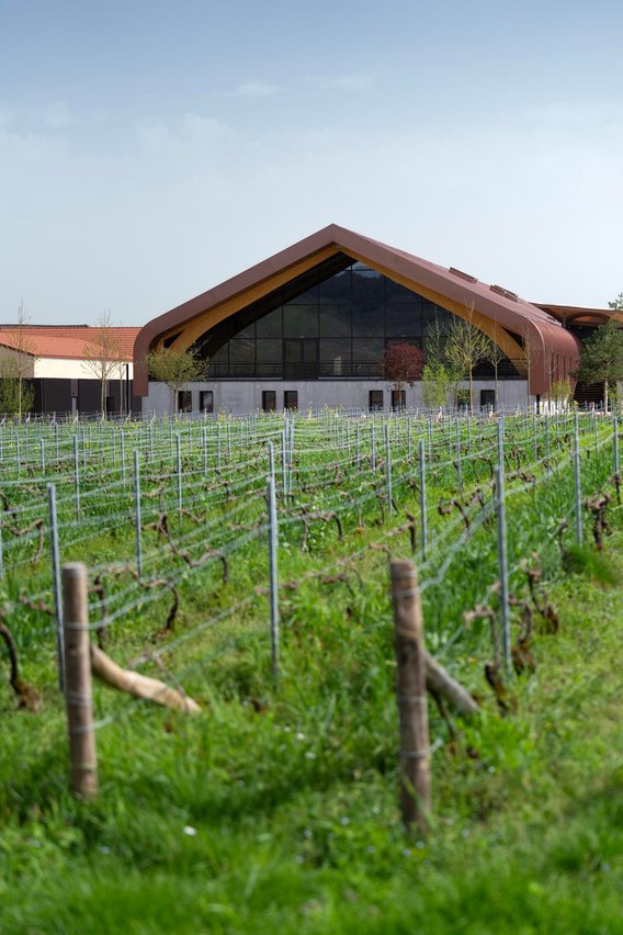 Die gerade eröffnete Produktionsanlage von Krug in der Nähe von Reims mit neuen Stahltanks und ­genügend Platz zur Lagerung der Weine in Hunderten von Fässern.