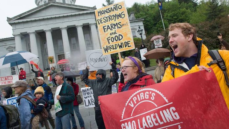 Monsanto-Gegner in Montpelier: Äusserst erfolgreich, äusserst umstritten. Keystone
