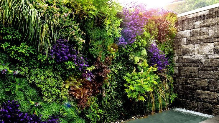 Zufallsprinzip: Garten und Pflanzen bilden einen dichten Sichtschutz. Giardina