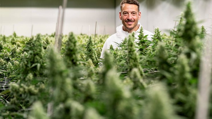 Von Coca-Cola zu Cannabis: Marry-Jane-CEO Rico Üslük ist ein Konsumgüterprofi. Er war lange Manager beim US-Konzern Coca-Cola.