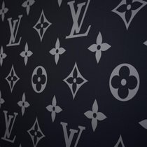 Das ikonische Muster von Louis Vuitton.