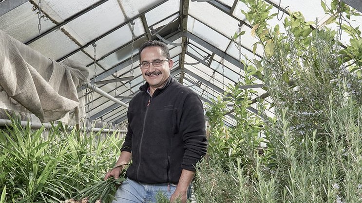 Salvador Garibay: Setzt auf exotisches Gemüse. Kuster Frey
