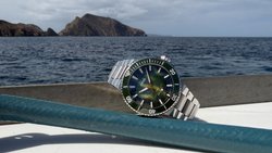 Wichtiges Ökosystem und ein stark gefährdetes Unterwasserparadies – Oris widmet den Kelpwäldern ein Sondermodell mit speziellem Zifferblatt (hier vor Anacapa Island, Kalifornien).