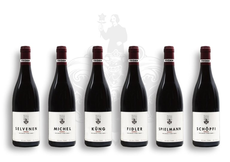 Sechs Malanser Pinot noir aus fünf Lagen.