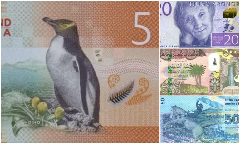 pinguiiin.jpg