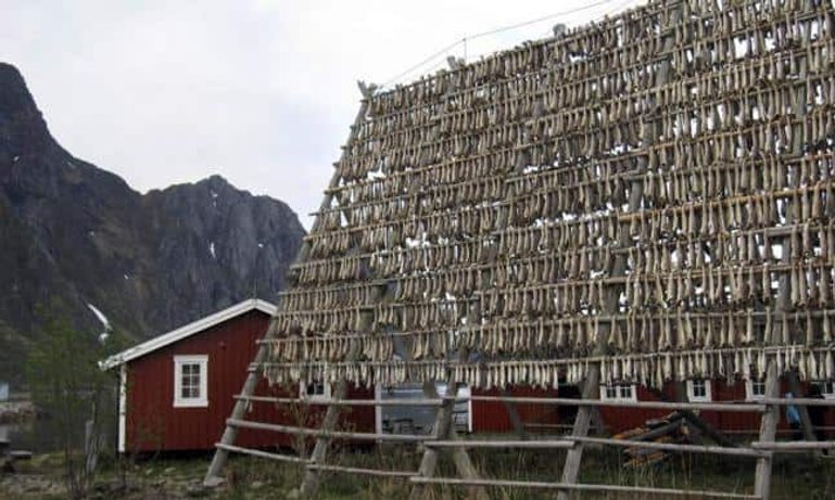 norwegen_0.jpg