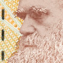 Charles Darwin veröffentlichte seine Evolutionstheorie bereits im Jahr 1859.