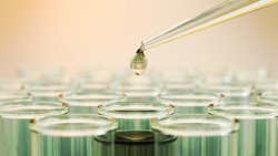 Biotech-Aktien entwickeln sich weiterhin überdurchschnittlich gut, selbst nach der Rallye im letzten Jahr.