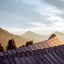 Oberholz-Finn_Beales-9.jpg