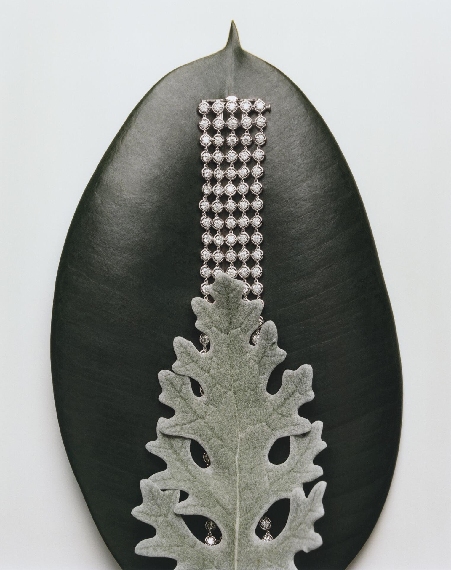 Bolero_Leaves_03.tif