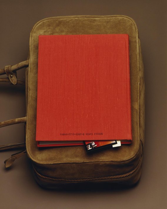 Tasche Beau aus Wildleder in Kakaobraun mit geprägtem Logo und goldfarbenen Beschlägen.