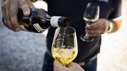 Ist das tägliche Glas Wein wirklich so gefährlich?