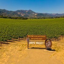 Napa Valley: Die Weine aus den USA zählen zu den besten der Welt.