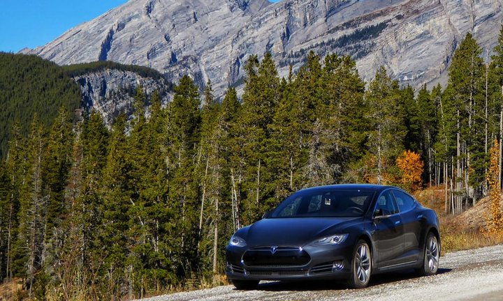 teslas_0.jpg