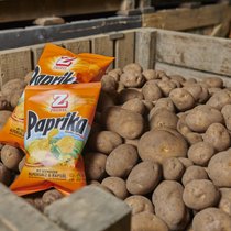 Zweifel verarbeitet in der Hochsaison täglich bis zu 150 Tonnen Kartoffeln zu Chips.