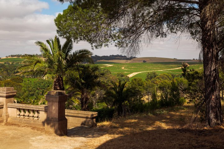 A scenic view in the Barossa Valley