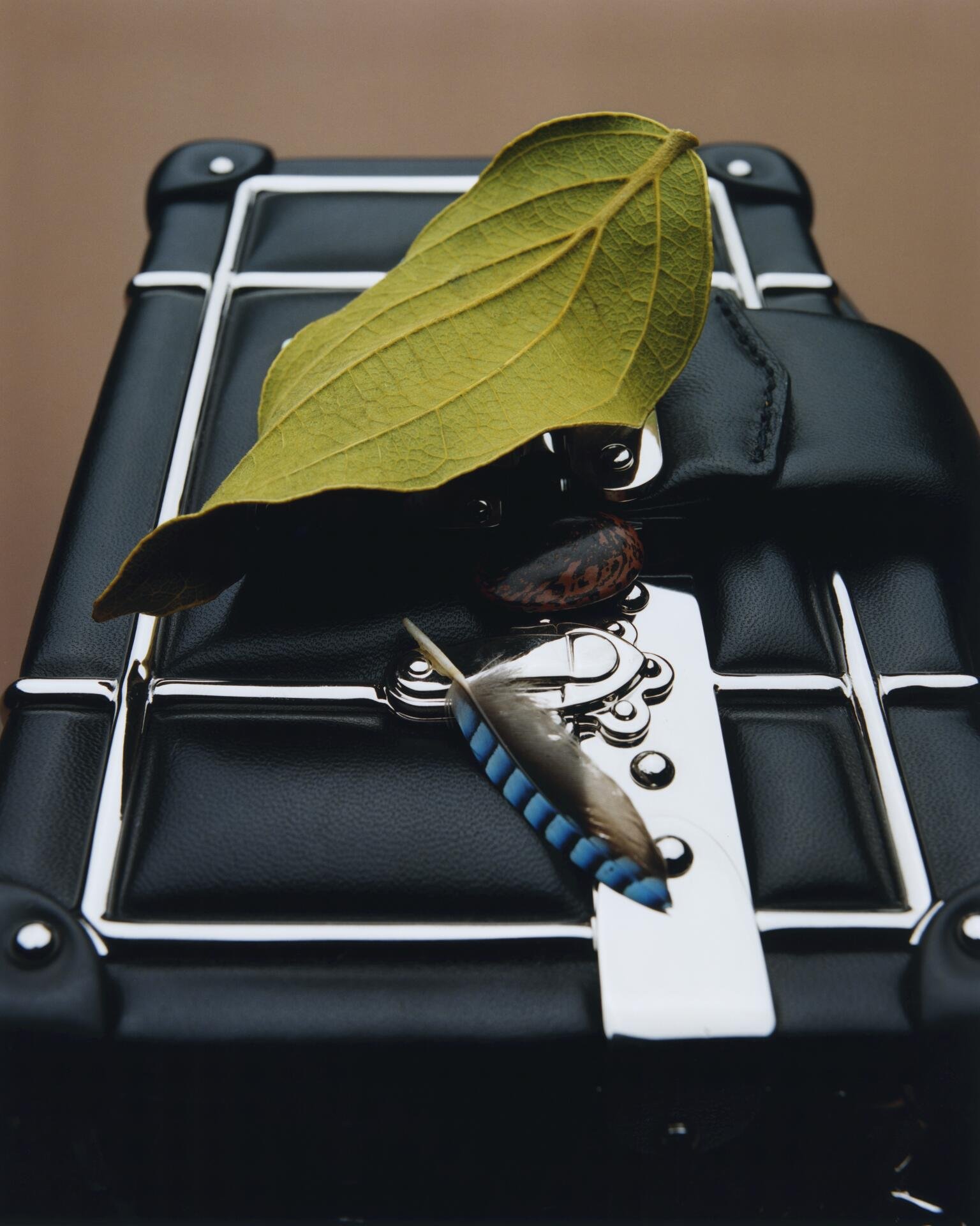 Tasche Petite Malle Celebration Padded Cage aus Lammleder mit gebürsteter Schnalle und Metallbeschlägen.