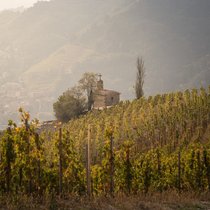 Der Hermitage-Hügel im nördlichen Rhonetal ist die Spitzenlage für Syrah.